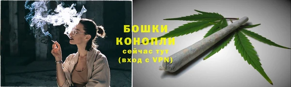молекула духа Беломорск