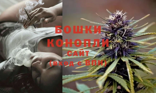 молекула духа Беломорск