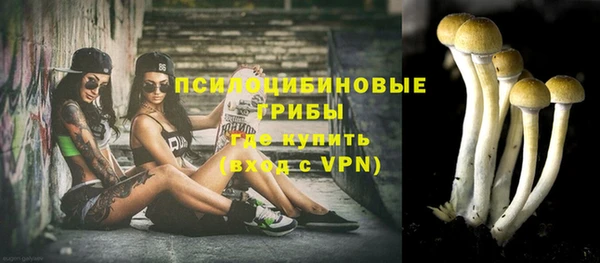спиды Белоозёрский